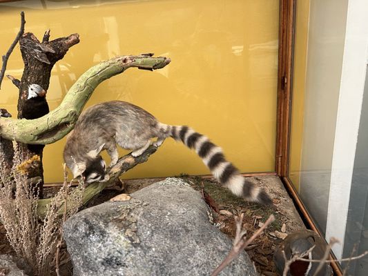 San Diego Natural History Museum by null