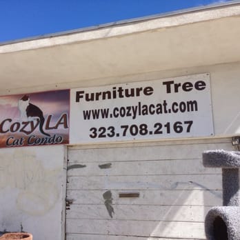 Cozy La Cat Condos Closed Pet Stores 3737 Eagle Rock Blvd Los Angeles Ca Phone Number Yelp