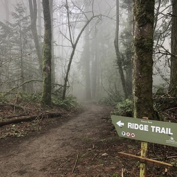 Forest Park - Parks Near Me - Portland, Oregon