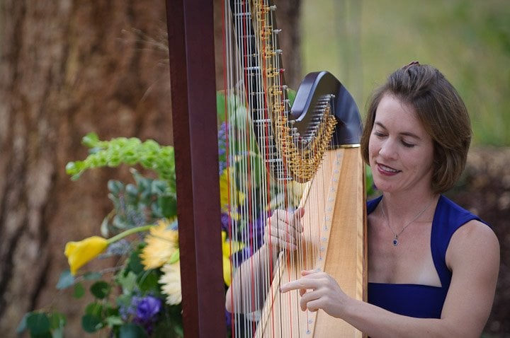 Colorado Harpist Erin Newton