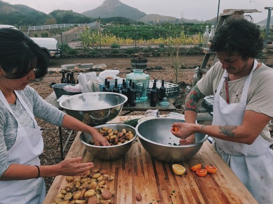 Saddlerock Gardens by null