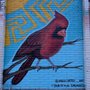 Photo of Tribute to the Arizona Cardinals