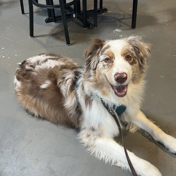 Pherm Brewing - A happy patron - Breweries Near Me - Gambrills, Maryland
