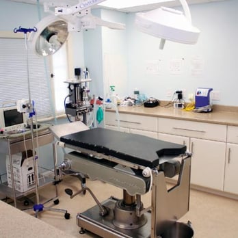 Gloucester Veterinary Hospital - Veterinarians Near Me - Ottawa, Ontario Gloucester Veterinary Hospital - Veterinarians Near Me - Ottawa, Ontario