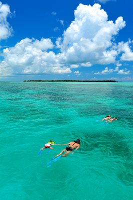 Fury Water Adventures Key West by null