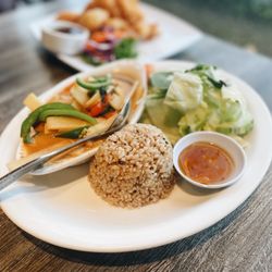 Bright Star Thai Vegan - Dinner Special - Red Curry with Soy Chicken, brown rice, salad, and a veggie egg roll