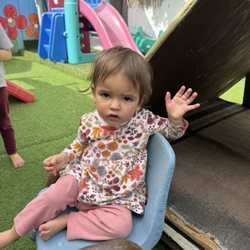 Enjoying playing in the back yard. Saying hi.