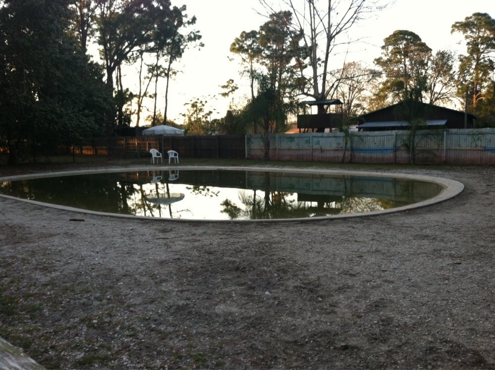 Bed & Biscuit Pet Resort Image