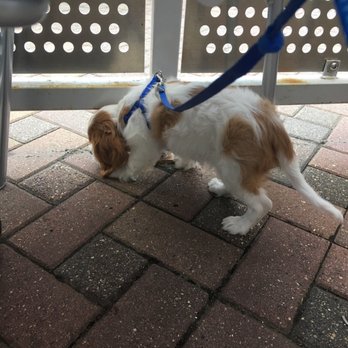 Edina Grill - Dog friendly - American Near Me - Edina, Minnesota