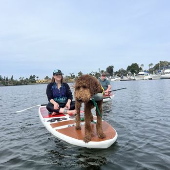 SUP Pups - Paddleboarding Near Me - San Diego, California SUP Pups - Paddleboarding Near Me - San Diego, California
