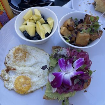 MIAM Cafe - Sandwiches Near Me - Miami, Florida