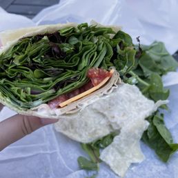 Turkey wrap, mostly lettuce