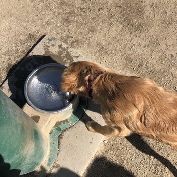 Oakdale Dog Park - Dog Parks Near Me - Oakdale, California Oakdale Dog Park - Dog Parks Near Me - Oakdale, California