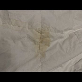 Summit View Inn - Urine stains on bedding - Hotels Near Me - Mount Shasta, California Summit View Inn - Urine stains on bedding - Hotels Near Me - Mount Shasta, California