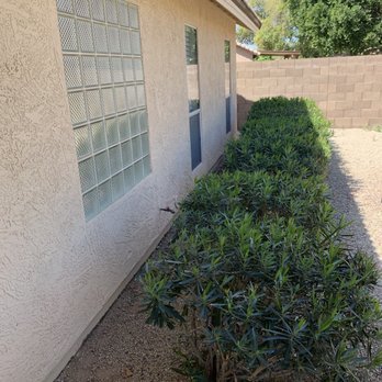 Gabriel Landscaping - Before - Landscaping Near Me