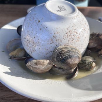 Tidal Raves - Clams for appetizers - New American Near Me - Depoe Bay, Oregon Tidal Raves - Clams for appetizers - New American Near Me - Depoe Bay, Oregon