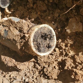 Elephant Plumbing - Cut out break in sewer line full of roots in yard - Plumbing Near Me