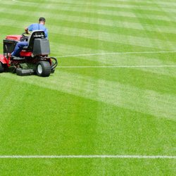 Beautiful Lawns by Ola - Beatiful stripes