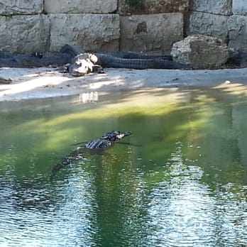 Everglades Outpost - Zoos Near Me - Homestead, Florida Everglades Outpost - Zoos Near Me - Homestead, Florida