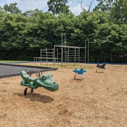 Playground at Sharpsburg Park