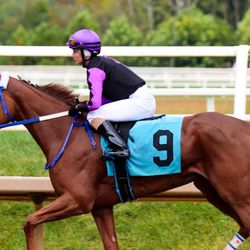 Laurel Park