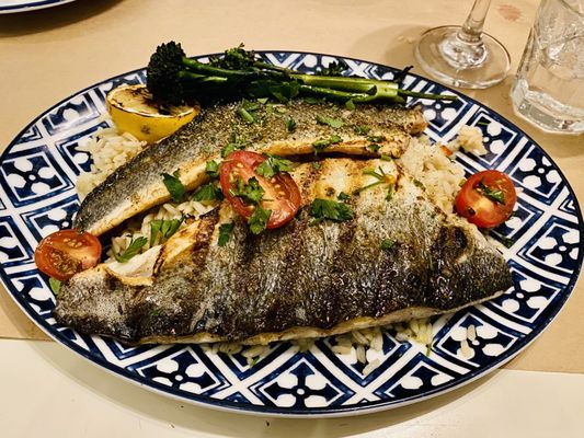 Kouzina Greek Taverna and Bar by null