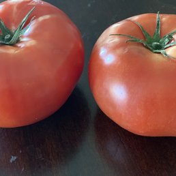 Beefsteak tomatoes