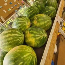 Gina's Fresh Produce & Nursery - Sweet Watermelon