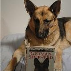 Polite Paws Dog Training