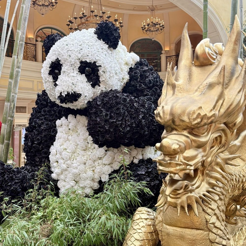 Bellagio - Hotels Near Me - Las Vegas, Nevada