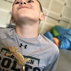 Rizzo's Wildlife World