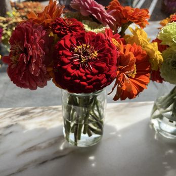 Youngs Farm Cafe - Zinnias - Coffee & Tea Near Me - Manhasset, New York Youngs Farm Cafe - Zinnias - Coffee & Tea Near Me - Manhasset, New York