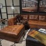 Photo of Leather Leather Furniture Gallery