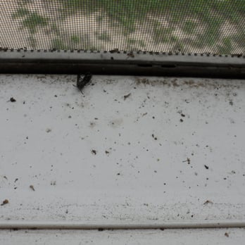 Twiddy - THE FILTH AND FECAL MATTER!!!!!!!!!!!!!! - Vacation Rentals Near Me - Duck, North Carolina Twiddy - THE FILTH AND FECAL MATTER!!!!!!!!!!!!!! - Vacation Rentals Near Me - Duck, North Carolina