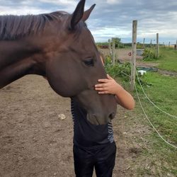Run 2 You Stables