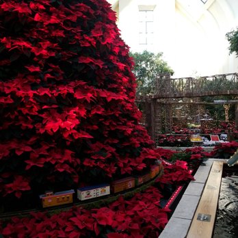 Lauritzen Gardens - Poinsettia tree with train all throughout - Venues & Event Spaces Near Me - Omaha, Nebraska