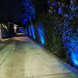 South Bay Lights