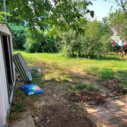 B'Snappy Hauling and Disposal Services - After lumber removal