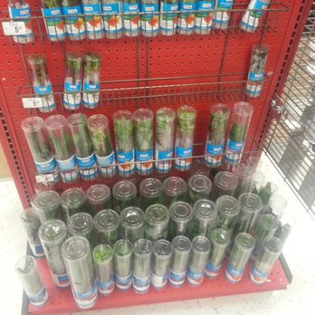 Petco - Pet Stores Near Me - Santa Clara, California