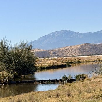 Rosewood Nature Study Area - Parks Near Me - Reno, Nevada Rosewood Nature Study Area - Parks Near Me - Reno, Nevada