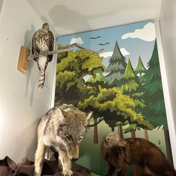 Dorr Museum - Museums Near Me - Bar Harbor, Maine