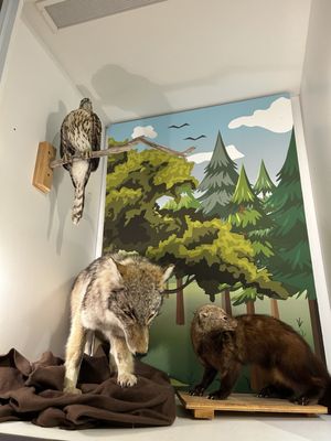 George B. Dorr Museum of Natural History by null