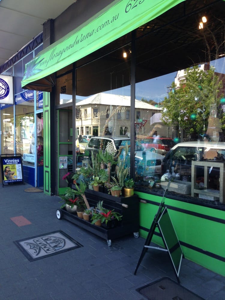 FLORA GONDWANA Updated May 2024 355 Elizabeth St, North Hobart