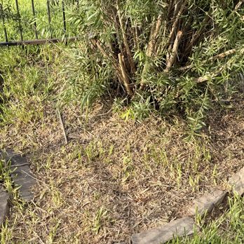 Devin Landscapes - Backyard Before - Landscaping Near Me