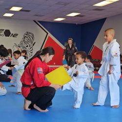 The ONE Taekwondo
