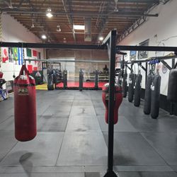 Legion MMA