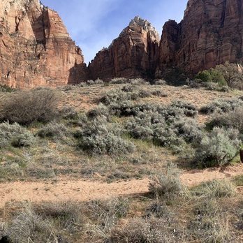 Canyon Trail Rides - Horseback Riding Near Me - Springdale, Utah Canyon Trail Rides - Horseback Riding Near Me - Springdale, Utah