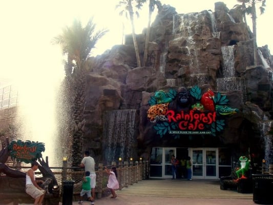 Rainforest Cafe by null