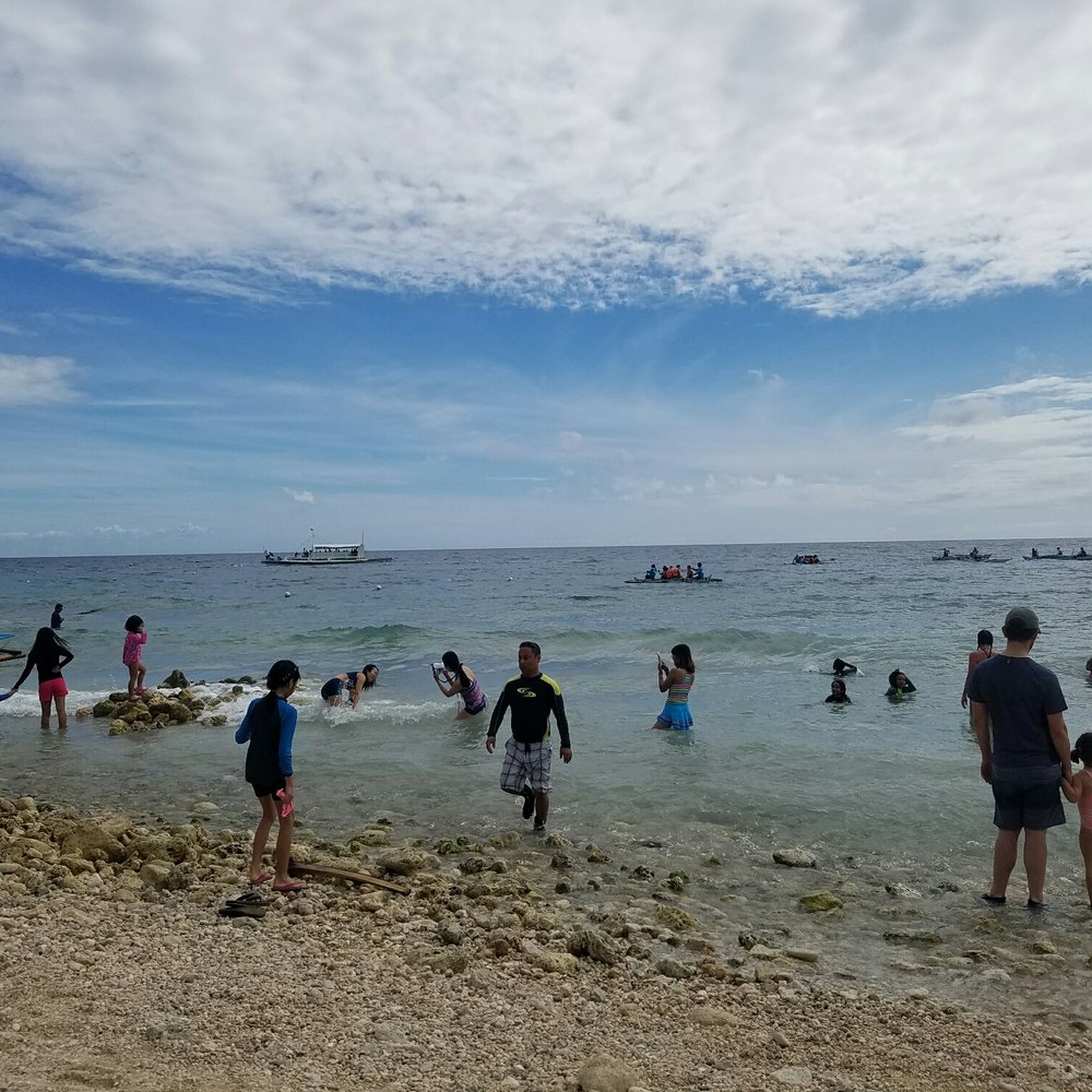 Oslob Whale Shark Watching - Whale Watching Tours Near Me - Oslob, CEB Oslob Whale Shark Watching - Whale Watching Tours Near Me - Oslob, CEB