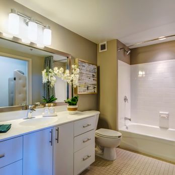 The Zenith - Apartments Near Me - Baltimore, Maryland